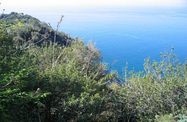 Dune Blu affittacamere Riomaggiore 036